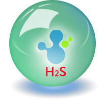 硫化氫標(biāo)準氣（H2S）